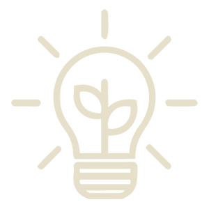 Creación de Contenido